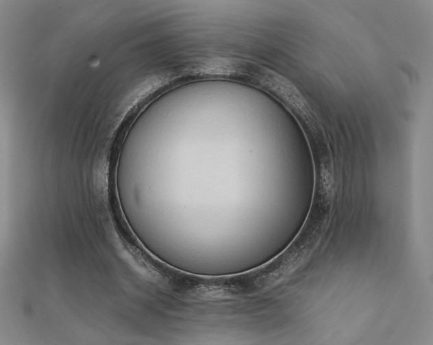 X0000112090534200908041452