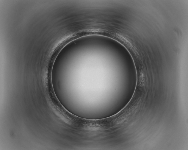 X0000112090535200908041452