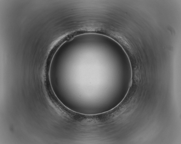 X0000112090536200908041452