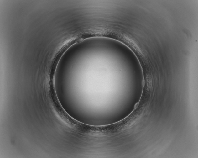 X0000112090538200908041452
