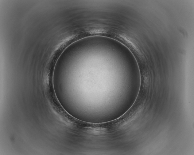 X0000112090539200908041452