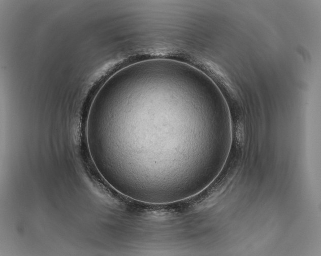 X0000112090540200908041452