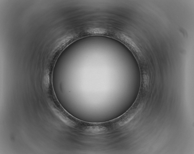 X0000112090541200908041452