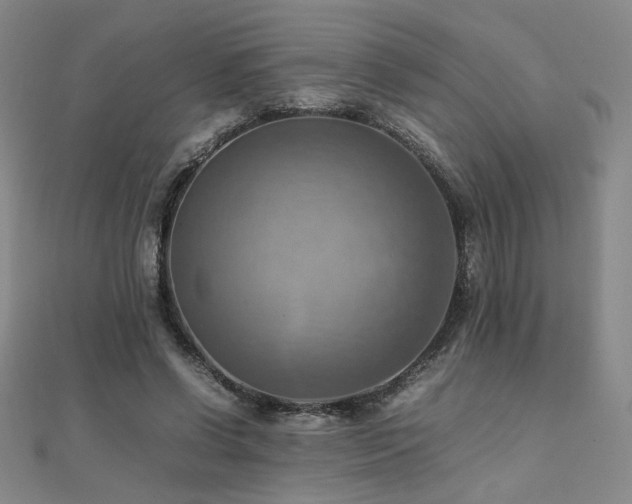 X0000112090542200908041452