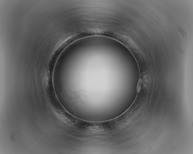 X0000112090544200908041452