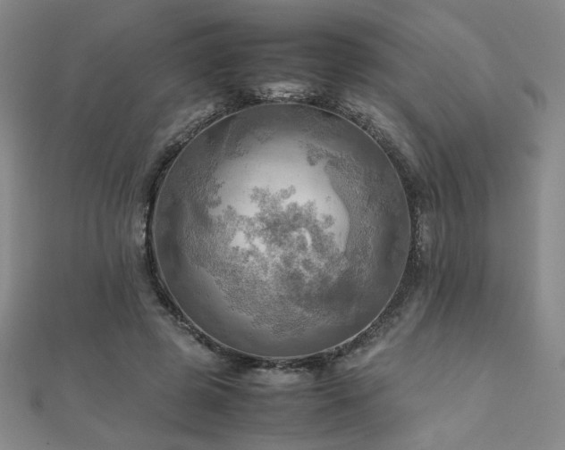 X0000112090545200908041452