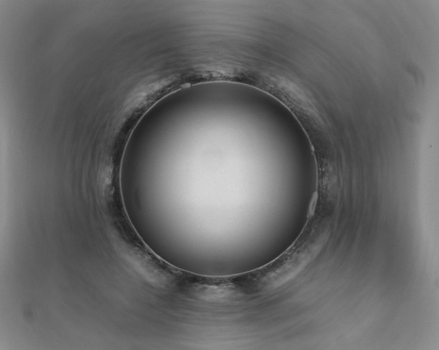 X0000112090548200908041452