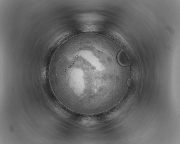 X0000112090549200908041452
