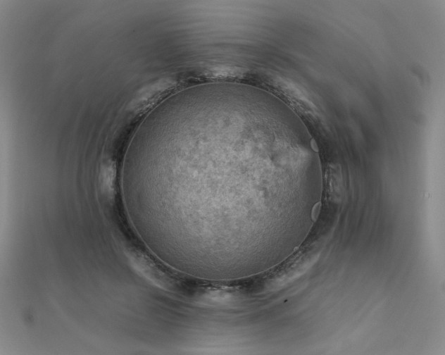 X0000112090550200908041452