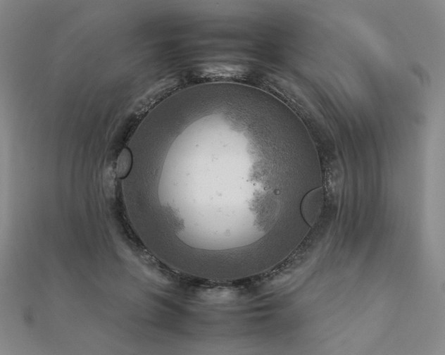 X0000112090551200908041452