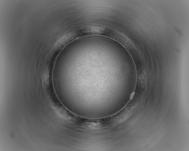 X0000112090552200908041452