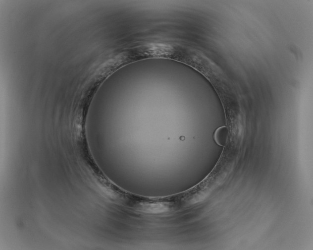 X0000112090553200908041452
