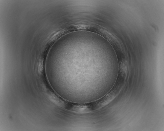 X0000112090554200908041452