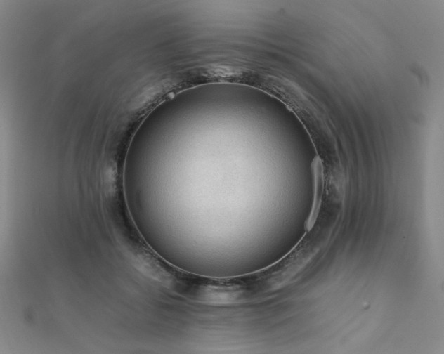 X0000112090556200908041452