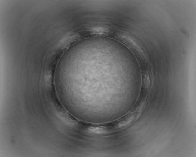 X0000112090557200908041452