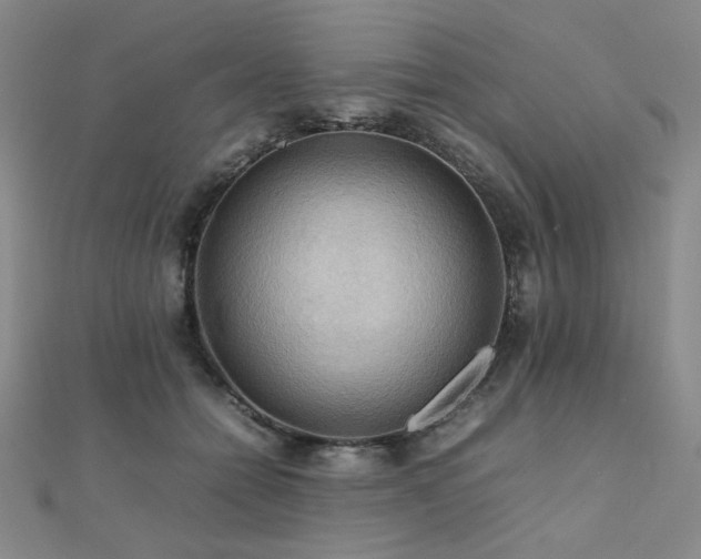 X0000112090558200908041452