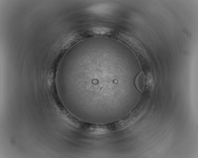 X0000112090559200908041452