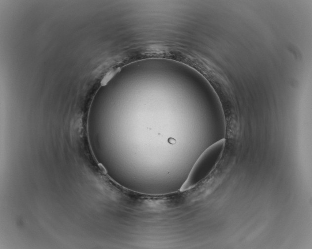 X0000112090560200908041452