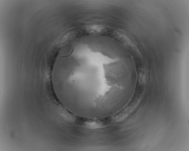 X0000112090561200908041452
