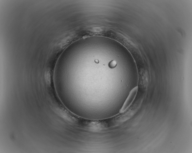 X0000112090562200908041452