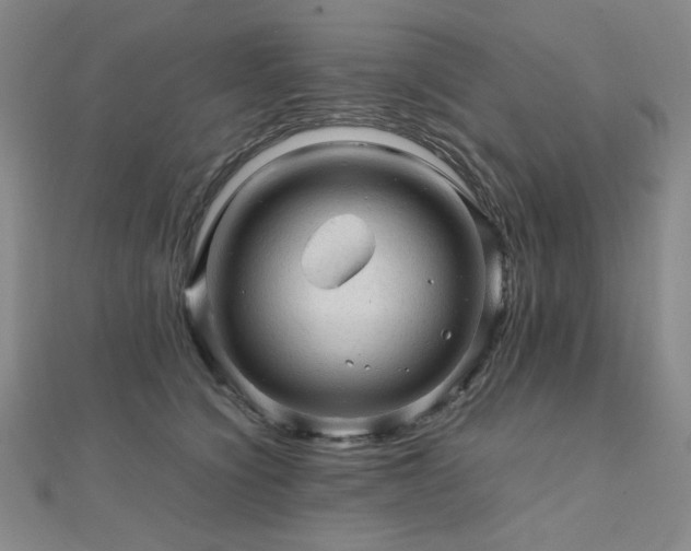 X0000112090564200908041452