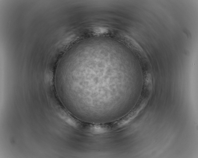 X0000112090565200908041452