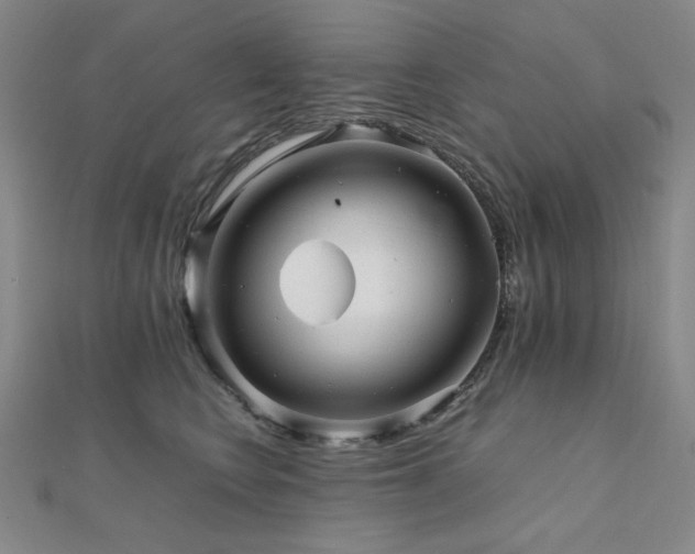 X0000112090566200908041452