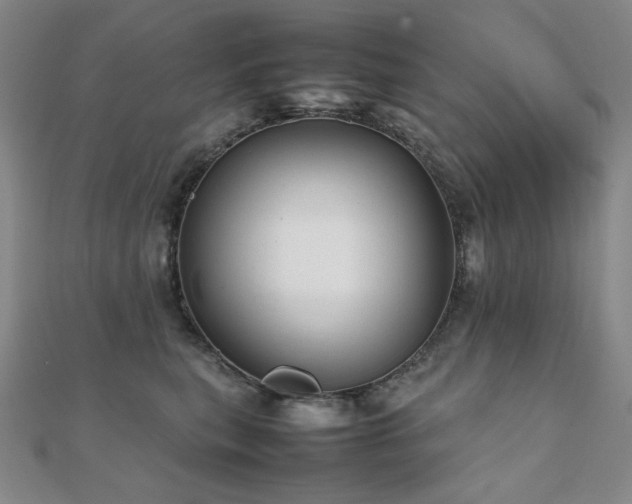 X0000112090567200908041452
