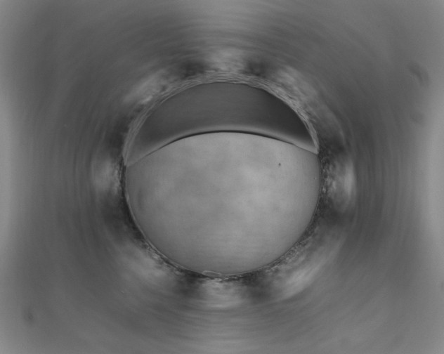X0000112090568200908041452