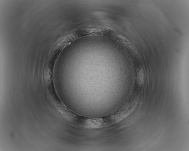 X0000112090571200908041452