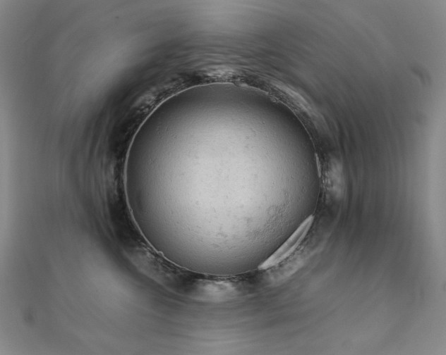 X0000112090572200908041453