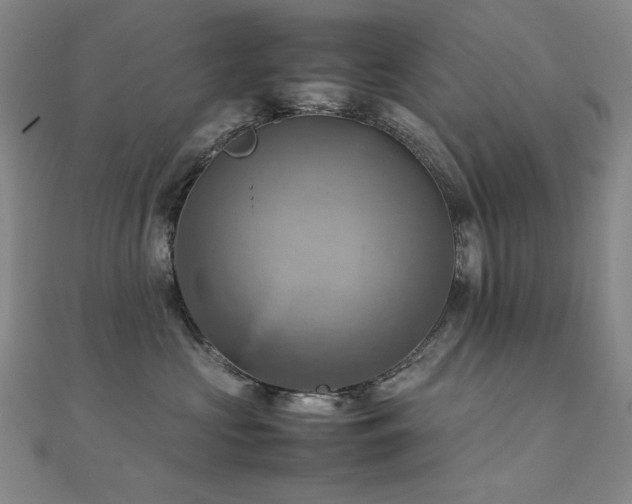 X0000112090573200908041453