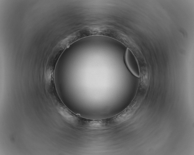 X0000112090574200908041453