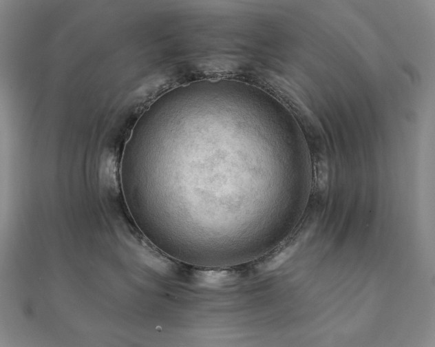 X0000112090575200908041453
