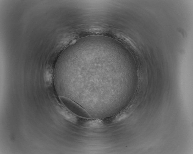 X0000112090576200908041453