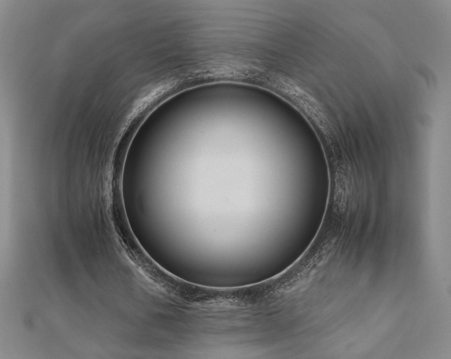 X0000112090578200908041452