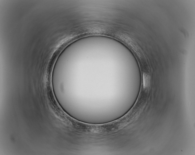 X0000112090579200908041452