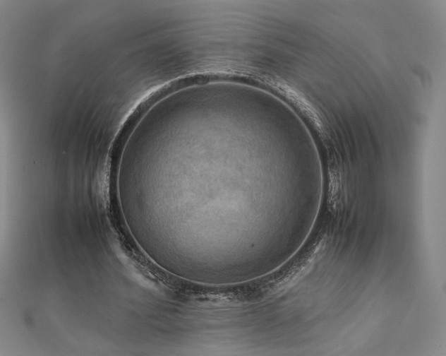 X0000112090580200908041452