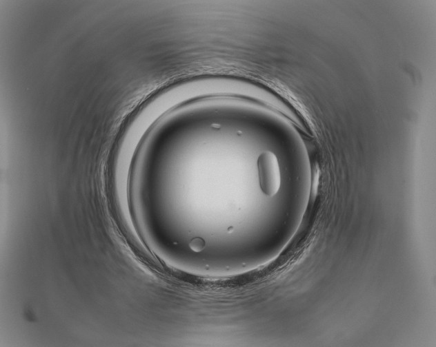 X0000112090581200908041452