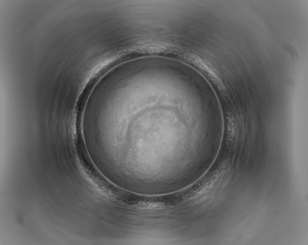 X0000112090582200908041452