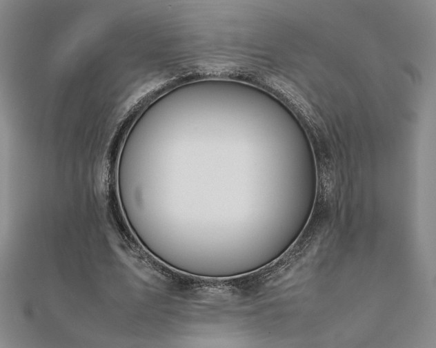 X0000112090583200908041452