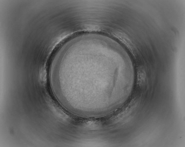 X0000112090584200908041452