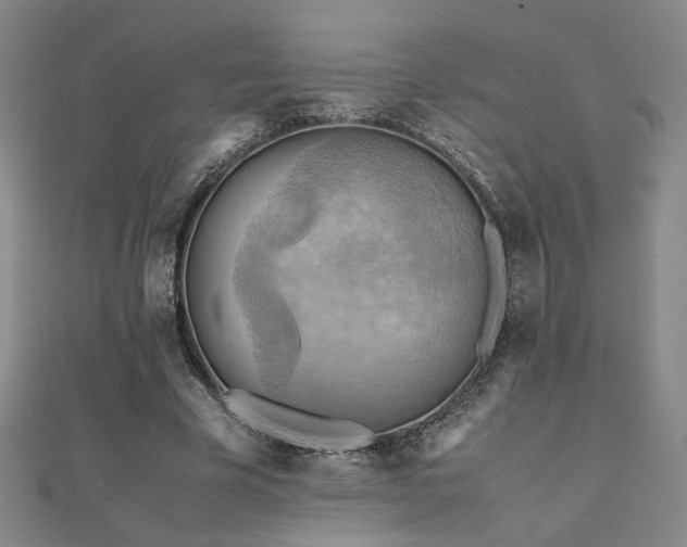 X0000112090585200908041452