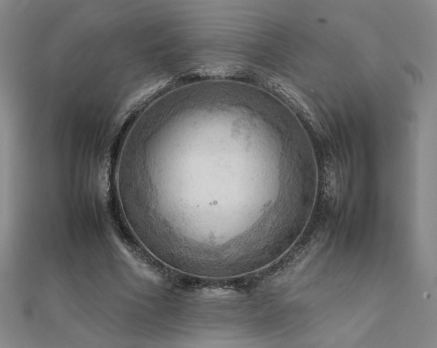 X0000112090586200908041452