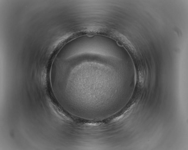 X0000112090588200908041452