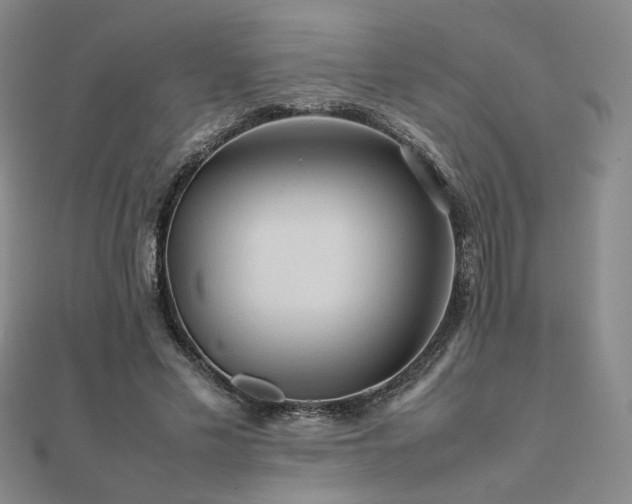 X0000112090589200908041452