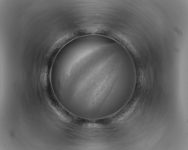 X0000112090590200908041452