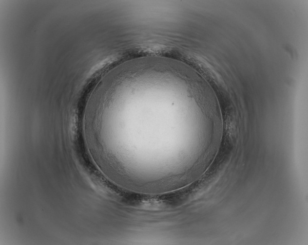 X0000112090591200908041452