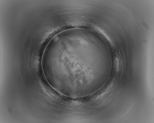 X0000112090592200908041452