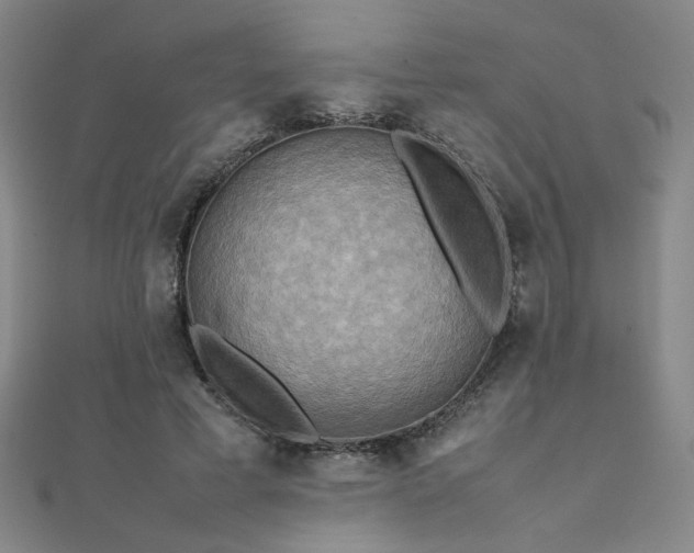 X0000112090593200908041452